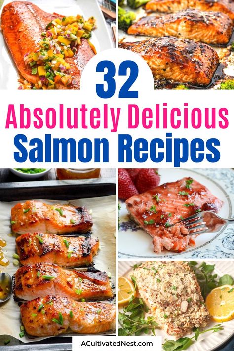 32 Delicious Salmon Recipes- Salmon is easy to cook and can be very delicious, if you have the right recipe! Here are 32 delicious salmon recipes you need to try! | healthy dinner ideas, healthy recipes, #salmon #fishRecipes #recipes #dinnerRecipes #ACultivatedNest Air Fryer Salmon Recipes, Healthy Salmon Burgers, Delicious Salmon Recipes, Air Fryer Salmon, Canned Salmon, Seafood Recipes Healthy, Best Seafood Recipes, Healthy Salmon Recipes, Easy Salmon Recipes