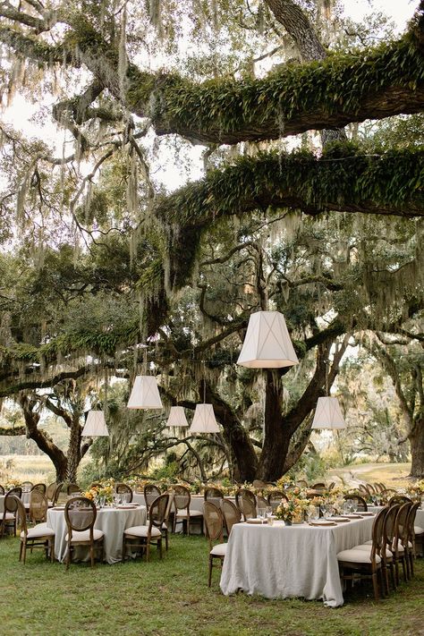 Wedding Venues Backyard, Bridal Party Themes Color Schemes, Waimea Falls Wedding, Old House Wedding Venues, Fall Charleston Wedding, 30a Wedding Venues, Country Side Weddings, Australian Wedding Venues, Southern Backyard Wedding