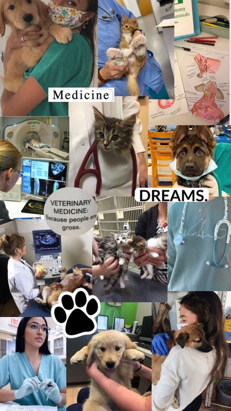 Vet Pictures, Vet School Motivation, Veterinarians Medicine, Vet Tech School, Vet Tech Student, Large Animal Vet, Medical School Life, Vet Medicine, Wildlife Biologist