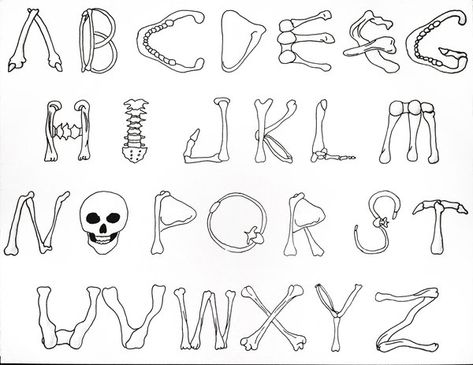 Abc 123, Creative Lettering, Creative Fonts, Gcse Art, Mini Drawings, Fonts Alphabet, Dia De Muertos, Bones, Abc