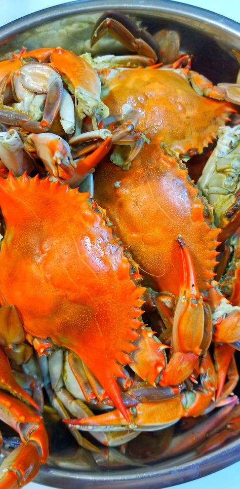 Boiled crabs Crab Boil Aesthetic, Crabs Recipes, Boiled Crab, Crab And Shrimp Recipe, Crab Appetizer, Crab Meat Recipes, Africa Food, Crab Boil, Crab Dip