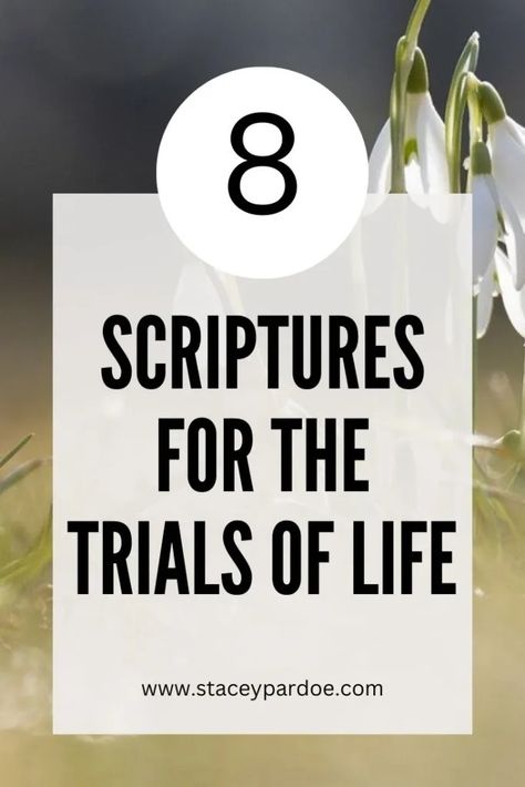 8 Comforting Bible Verses for Trials and Tribulations - Stacey Pardoe Building Resilience, Encouraging Verses, Comforting Bible Verses, Faith Blogs, Overcoming Adversity, Womens Bible Study, Words Of Hope, Friends Group, Encouraging Bible Verses