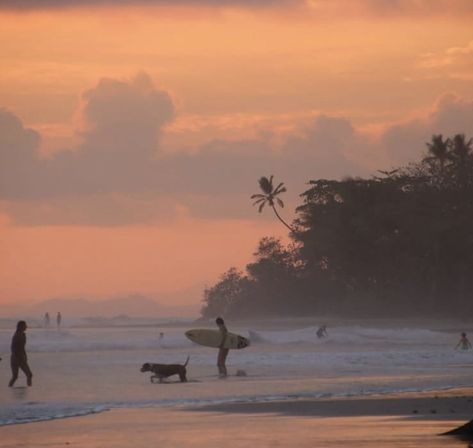 Santa Teresa Costa Rica, Surf Lifestyle, Have Inspiration, Summer Dream, Island Life, Pretty Places, Summer Aesthetic, Beach Life, Pretty Pictures