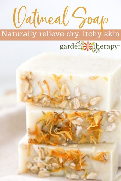 Bhg's Best Diy Ideas, Oatmeal Soap Recipe, Facial Soap Recipe, Homemade Scents, Glycerin Soap Recipe, Diy Natural Beauty Recipes, Natural Soaps Recipes, Goat Milk Recipes, Easy Soap Recipes