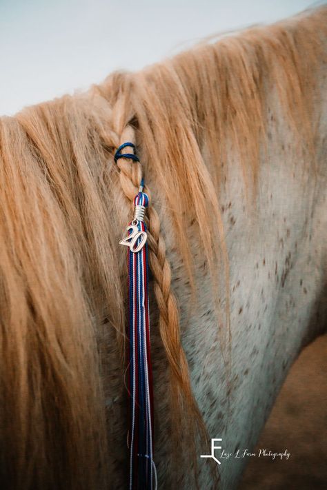 Sr Pics With Horse, Senior Rodeo Pictures, Barrel Racer Senior Pictures, Horse Senior Photoshoot, Graduation Horse Photoshoot, Equestrian Graduation Pictures, Graduation Photos With Horses, Grad Pics With Horses, Cowgirl Senior Pictures Ideas Outfit