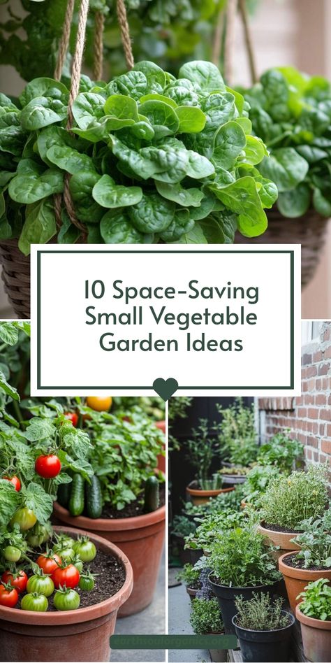 No backyard? No problem! Check out these practical small vegetable garden ideas for patios, balconies, and even indoor setups. Get tips for growing fresh produce in compact spaces and enjoy the taste of homegrown veggies year-round. #SmallVegetableGardenIdeas #UrbanFarming #MicroGardens Small Garden In Backyard, Vegetable Garden In Balcony, Small Patio Garden Ideas Townhouse, Apartment Vertical Garden, Front Garden Vegetable Patch Uk, Indoor Food Garden Apartment, Off Grid Garden Ideas, Gardens In Small Spaces, Balcony Small Garden