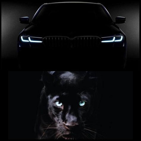 #black panter #black bmw Bmw M3 Black, Panther Car, Dope Captions For Instagram, Luxury Cars Bmw, Black Bmw, Bmw Black, Cars 4, Bmw Wallpapers, Big Animals