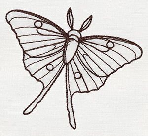 Luna Moth Drawing, Luna Moth Design, Luna Moth Tattoo, Moth Drawing, Moth Tattoo Design, Moth Design, Simple Tattoos For Women, Magic Runes, Bug Tattoo