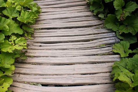 Wildlife Friendly Wood Garden Paths and Boardwalks, 50 Inspiring Landscaping Ideas Wood Pathway, Pallet Deck Diy, Pallet Deck, Deck Diy, Wood Walkway, Stone Garden Paths, Wood Path, Wooden Path, Walkway Design