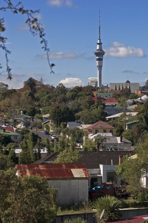 South Auckland, Gangster Girl, New Zealand North, Auckland City, State Of Arizona, Auckland New Zealand, South Island, City House, Small Island