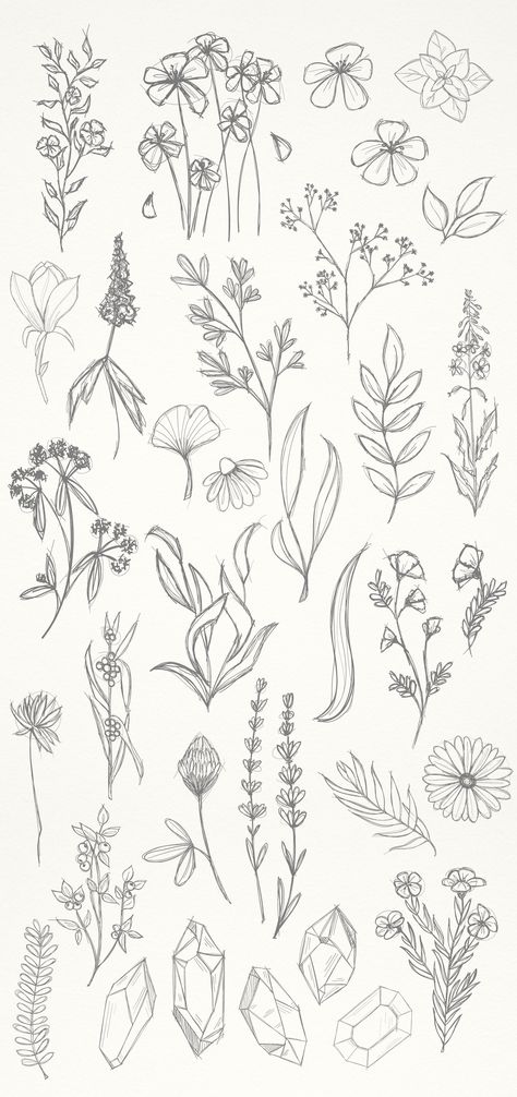 Simple Floral Sketch Drawings, Crystal Sketch Drawings, Messy Flowers Drawing, Drawing Floral Designs, Simple Flowers Design, Floral Drawings Simple, Crystal Flower Drawing, Flower Bundle Drawings, Flower And Crystal Tattoo