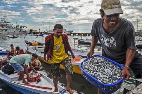 Fishing is integral to millions of Indonesians’ livelihoods and identities, with an estimated 2.5 million households involved in small-scale (non-industrial) fishing and aquaculture. Small-scale fishing includes a wide variety of activities, from subsistence harvesting to fish processing, and is performed by individuals, informal fishers’ groups, and even formal private sector businesses. But despite Indonesia’s rich […] Kuala Selangor, North Sulawesi, South Sulawesi, Sustainable Fishing, Biodiversity Conservation, Famous Composers, East Java, Aktivitas Montessori, Marine Conservation