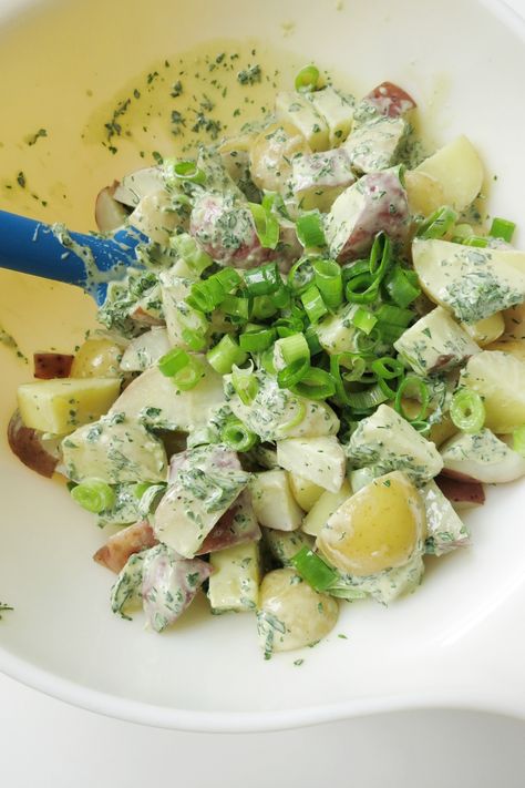 Herbed Tahini Potato Salad?utm_source=12tomatoes Yellow Potatoes, 12 Tomatoes, Fresh Dill, Red Potatoes, Fresh Cilantro, Fresh Lemon Juice, Tahini, Potato Recipes, Mouth Watering