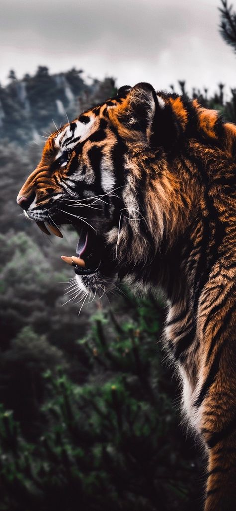 Australia Animals Scary, Wallpaper Tigre, Tiger Wallpaper Iphone, Animals Scary, Animals In Australia, Wallpaper Tiger, Tiger Jewelry, Wild Animal Wallpaper, Tiger Artwork