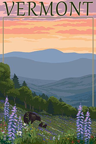 Vermont Spring Flowers and Bear Family 24x36 Giclee Gallery Print Wall Decor Travel Poster Spring Flower Art, Shenandoah National Park, Retro Travel Poster, Great Smoky Mountains National Park, Blue Ridge Parkway, White Mountains, Smoky Mountain National Park, National Park Posters, Flower Prints Art