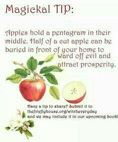 Apple protection Healing Spells, Kitchen Witchery, Magick Spells, Eclectic Witch, Witchy Crafts, Pagan Witch, Witch Spell, Herbal Magic, Baby Witch