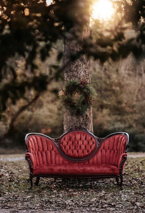 Vintage Couch Christmas Photoshoot, Red Couch Christmas Photoshoot, Vintage Sofa Photoshoot, Antique Chair Photoshoot, Antique Couch Photoshoot, Velvet Chair Photoshoot, Velvet Couch Photoshoot, Red Couch Photoshoot, Vintage Chair Photoshoot