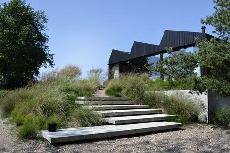 Scandinavian Garden, Floating Platform, Agricultural Land, Unique Buildings, Garden Landscape Design, Landscaping Design, Ornamental Grasses, Modern Landscaping, Contemporary Landscape