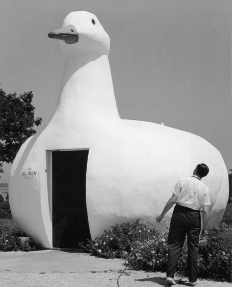 Big Duck, Dancing House, Duck Pictures, Mexico Design, Long Island New York, Hard Rock Hotel, Remote Island, Unique Architecture, Buddhist Temple