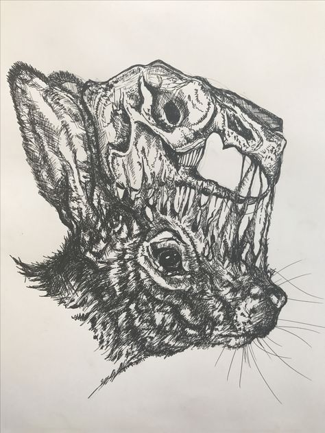 Paul Jackson Art, Dead Animal Drawing, Paul Jackson Artist, Paul Jackson, Work Art, Jackson's Art, Gcse Art, Ink Sketch, Animal Sketches