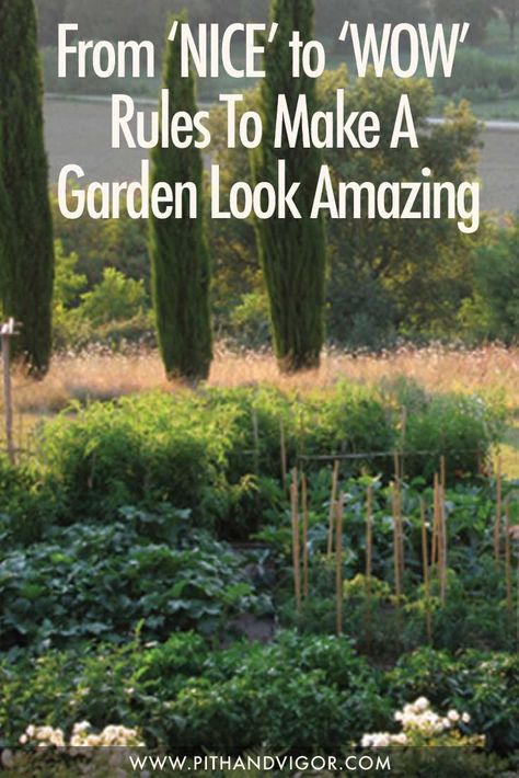 Farm Style Garden, Lush Vegetable Garden, Picking Garden Design, Wandering Garden Design, Basic Landscape Design, Garden Design Hacks, Beautiful Vegetable Garden Inspiration, Open Garden Ideas, Farm Garden Ideas Landscaping