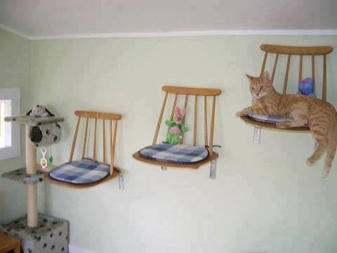 old chair seats for a cat bench - Tap the link now to see all of our cool cat collections! Diy Dog Playground, Diy Cat Shelves, Katt Diy, Katt Grejer, Diy Cat Tree, Dog Playground, Diy Cat Toys, Cat Towers, Cat Playground