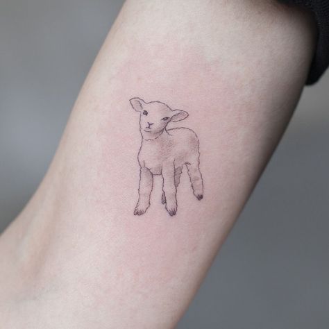 Seasonal Tattoos, Lamb Drawing, Lamb Tattoo, Sheep Tattoo, Bible Tattoos, Cow Tattoo, 16 Tattoo, Type Tattoo, Geniale Tattoos