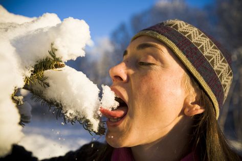 It's usually safe to eat snow or use it for drinking or making ice cream, but there are some important exceptions to consider, such as colored snow. Eating Snow, Sunday Thoughts, Snow Ice Cream, Snow Cream, Snow Images, Classroom Science, Eating Ice, Pink Snow, Self Sufficiency