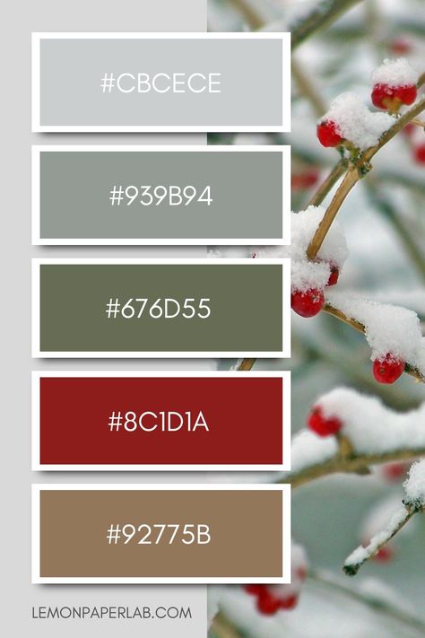 10 Winter Color Palette Ideas Vintage Winter Color Palette, December Colour Palette, Boho Winter Color Palette, Winter Holiday Color Palette, January Color Palette, Christmas Color Combinations, December Colors, Tech Images, Winter Colour Palette