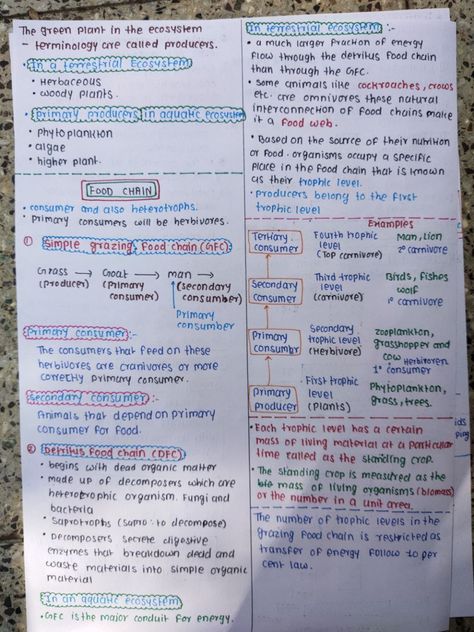 Class 10 Notes Aesthetic, Ecosystem Notes, Class 10 Notes, Neet Aspirant, Biochemistry Notes, Neet Notes, Organic Chemistry Study, Learn Biology, Chemistry Study Guide