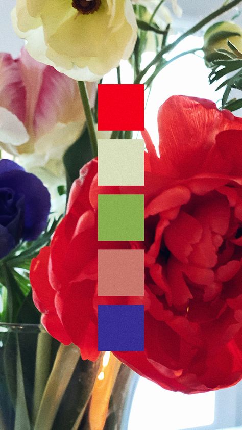 Red Pink Green Blue Color Palette, Blue Color Pallet, Red Chinoiserie, Red Aesthetics, Dark Blue Flowers, Red Colour Palette, Green Palette, Brand Ideas, Green Sage