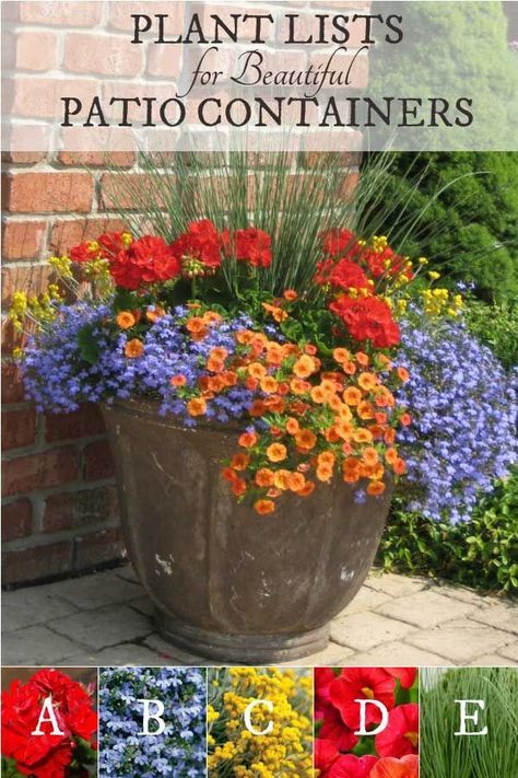 Plant lists for beautiful patio containers. Image by Proven Winners. Patio Flowers, Porch Flowers, Container Garden Design, Container Gardening Flowers, Patio Planters, Flower Pots Outdoor, Proven Winners, Beautiful Patios, Patio Plants