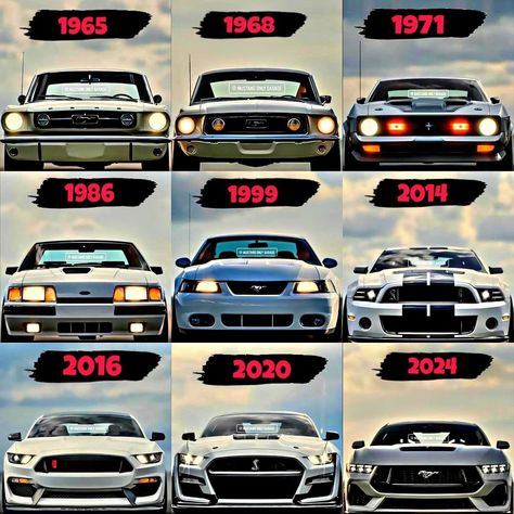 Ford Mustang Evolution (1965 - 2024) Mustang Gtr, Mustang Tuning, Sports Cars Mustang, Ford Mustang 1965, 70s Muscle Cars, The Namesake, Seventh Generation, 1965 Mustang, 1966 Ford Mustang