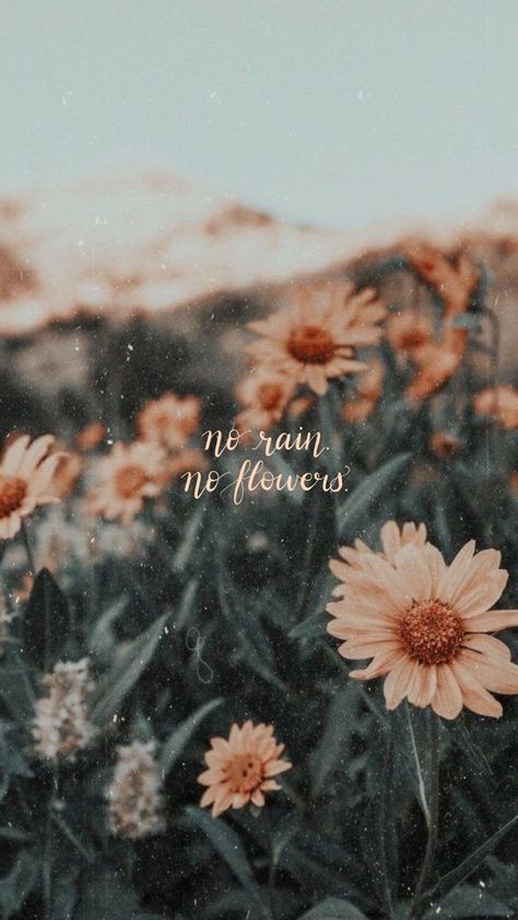 Floral wallpaper 🌻 No Rain No Flowers, No Rain, Reading Lists, Floral Wallpaper, Wattpad, Reading, Twitter, Flowers, Floral