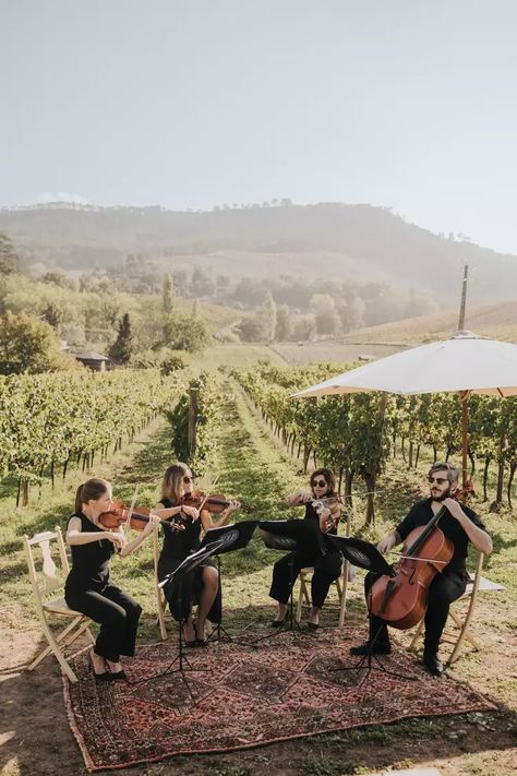 A Vineyard Wedding in Portugal With Musical Touches Wedding In A Vineyard, Intimate Vineyard Wedding, Portugal In October, Vineyard Aesthetic, Vineyard Wedding Ideas, Watercolor Menu, Wedding Vineyard, Gospel Choir, Portugal Wedding