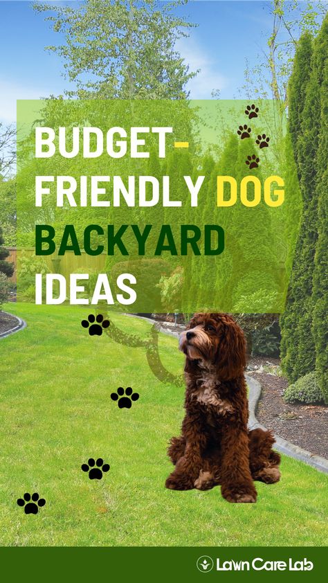 Budget-Friendly Dog Backyard Ideas. Small Dog Friendly Backyard, Backyard Designs For Dogs, Dog Safe Landscaping, Backyard Design For Dogs, Dog Outdoor Play Area Backyard Ideas, Dog Play Area Outdoor, Private Dog Park Ideas, Dog Play Yard Ideas, Petscaping Backyard Ideas