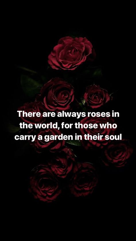 Poems With Roses, Rose Flower Quotes Short Beautiful, Red Roses Quotes Beauty, Rose Quotes Inspirational Short, Red Roses Quotes, Rose Flower Quotes, Beautiful Love Flowers, Roses Are Red Poems, I Still Love You Quotes