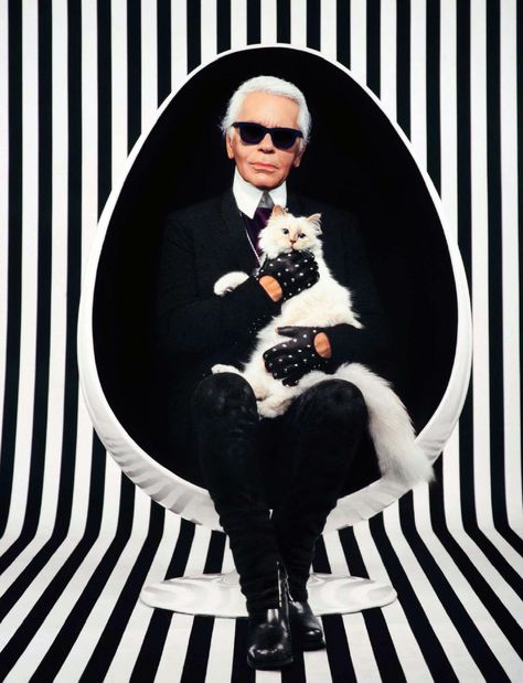 karl who?                                                                                                                                                      Mehr Choupette Lagerfeld, Flying Cat, Hermann Hesse, Plakat Design, Cat Books, Pictures Of The Week, Chic Gifts, Private Life, Fashion Books