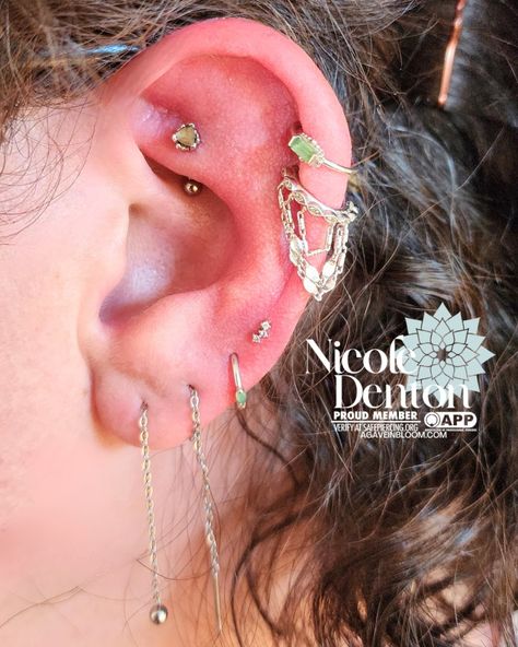 This is such a beautiful ongoing curation! It's a fresh fourth lobe featuring a 1mm Muse and an upgraded rook piercing with A Beaded Trillion with Zawadi sapphire - both by @BVLA. Piercing Inspo, In Bloom, Muse, Tatting, Piercings, Sapphire, Quick Saves, Instagram