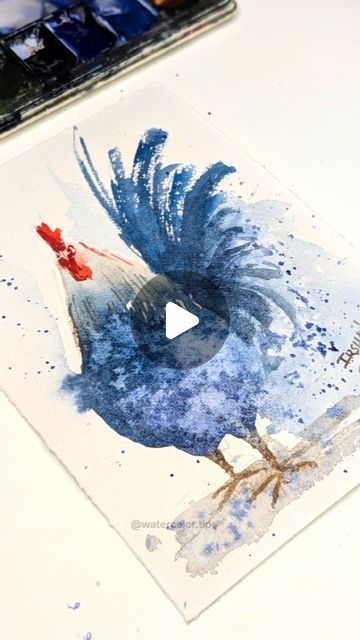 Watercolor Rooster Tutorial, Cool Colours Painting Ideas, Bird Watercolor Tutorial, Watercolor Lessons For Beginners, Watercolour Rooster, Ottawa Christmas, Beginner Watercolor Painting Tutorial, Watercolor Birds Easy, Watercolor Animals Easy