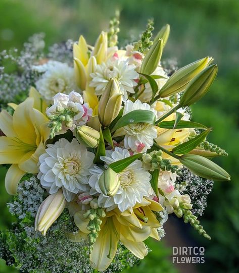 Creamy yellow lilies, dahlias and snapdragons in a late July bouquet July Bouquet, Yellow Lilies, Lily Bouquet, British Columbia, Dahlia, Flowers Bouquet, Columbia, Lily, Yellow