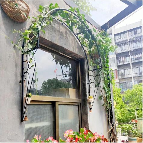 Metal Trellis Patio Wrought Iron Decorative Arch for Climbing Plants Flowers Vines Wall Mounted Rose Arches Ideal for Garden, Window, Porch (Black) : Amazon.de: Garden Archway Garden, Patio Trellis, Arch Garden, Decorative Trellis, Patio Windows, Garden Arch Trellis, Arbors Trellis, Arch Trellis, Metal Trellis