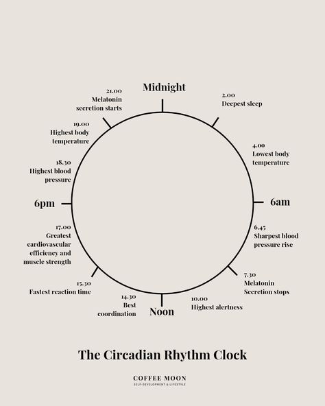 How To Reset Your Circadian Rhythm To Boost Happiness — Coffee Moon | For Women Who Want More | Self-Development Circadian Rhythm Chart, Chinese Body Clock, A Love Letter To Myself, Circadian Clock, Love Letter To Myself, Energy Shift, Zen Mode, Healthy Girl Era, Quotes From The Heart