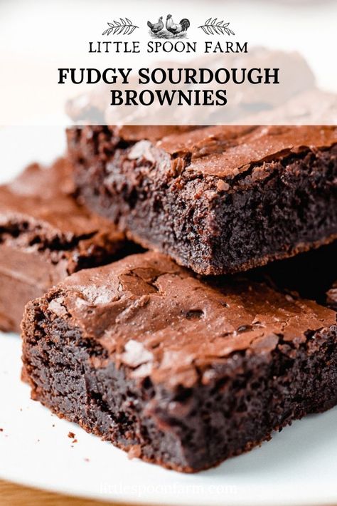 Little Spoon Farm Brownies, Littlespoonfarm Sourdough Brownies, Unfed Starter Recipes, Sourdough Chocolate Brownies, Sourdough Brownies Cocoa Powder, Sourdough Starter Brownies, Sour Dough Brownie Recipes, Easy Sourdough Brownies, Sourdough Brownie Recipes