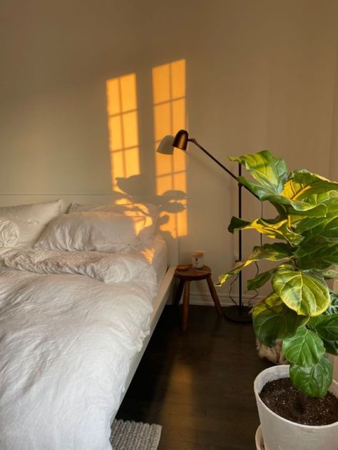 When the sun shines into my room, it's probably the happiest part of my day. Bedroom Ideas Simple Aesthetic, Room With Only Mattress, Minimal Ikea Bedroom, Clean Look Bedroom, Room Ideas Clean And Simple, Minimalist Interior Aesthetic, Simple Rooms Minimalist, Plants Interior Decor, Interior Aesthetic Minimal