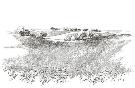 Hillside Farms, Perspective Architecture, Grass Drawing, Green Grass Field, Landscape Panorama, Crop Field, Landscape Design Drawings, Grass Painting, Nature Sketch