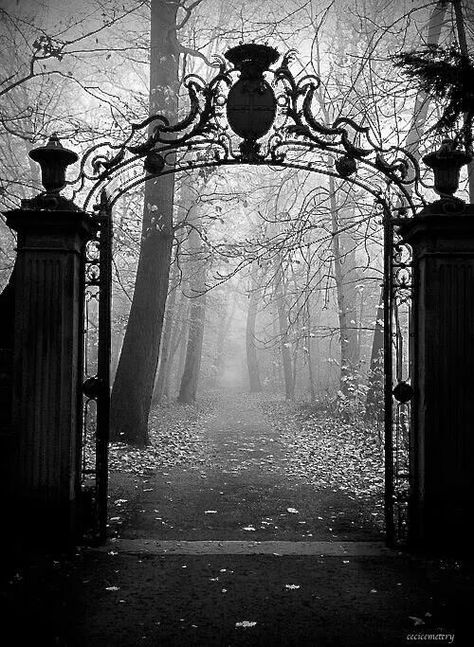 Gate to dark forest Strange Pictures, Leaves On The Ground, Fake Scenarios, Book Mood, Castle Gate, Abandoned Mansions, The Secret Garden, Abandoned Buildings, Abandoned Houses