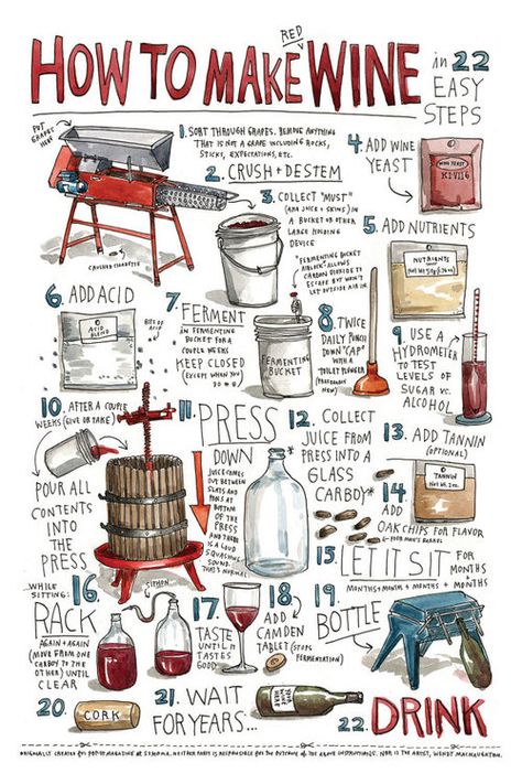 How To Make Wine In 22 Easy Steps (Infographic) Fun Wine Labels Funny, How To Make Wine, How To Make Red, Wine Education, Homemade Wine, Pinot Grigio, Wine Cheese, Wine Time, Fermenting