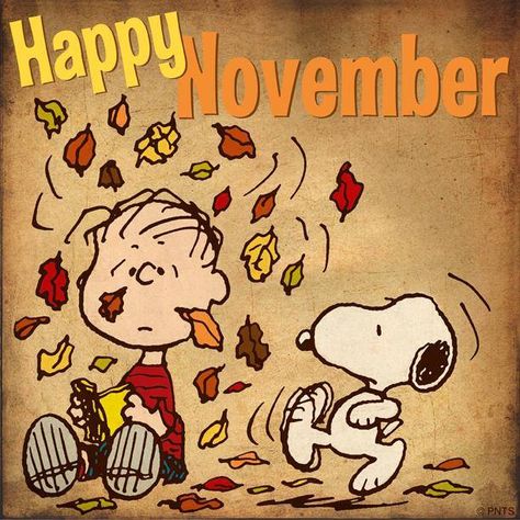 New Month Quotes, Welcome November, November Quotes, Charlie Brown Thanksgiving, Fall Humor, Happy November, Hello November, Thanksgiving Wallpaper, Peanuts Cartoon