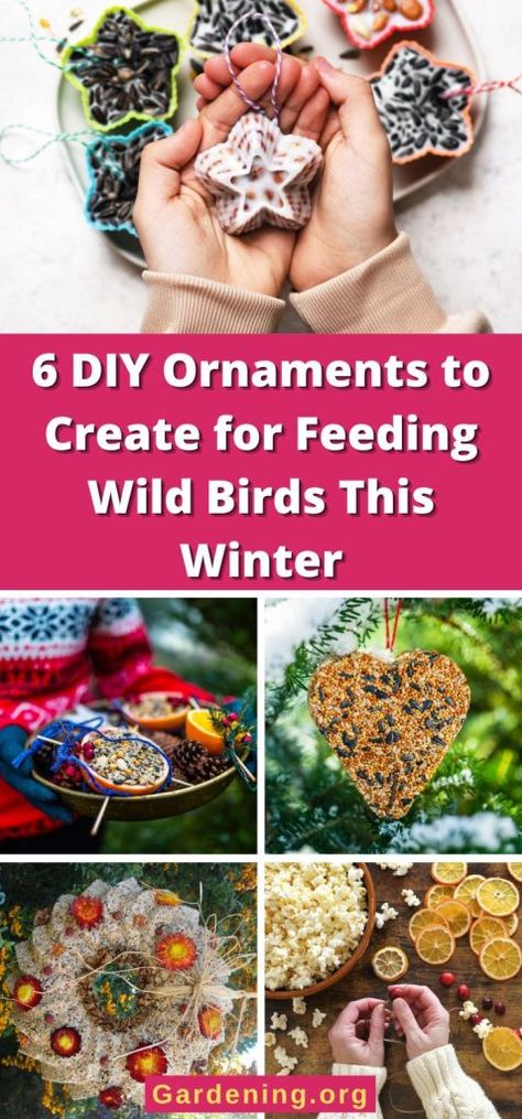 Bird Seed Wreath Recipe, Bird Food Ornaments, Bird Feeder Ornaments, Diy Birdfeeders, Bird Seed Ornaments Recipe, Homemade Bird Feeder, Winter Bird Feeders, Bird Feeder Gift, Pine Cone Bird Feeder